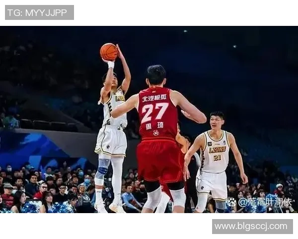 辽宁队与广厦队激战正酣2017年第四场精彩回顾与分析